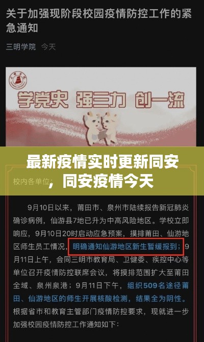 最新疫情实时更新同安,同安疫情今天
