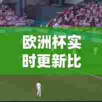 欧洲杯实时更新比分,欧洲杯比分合集