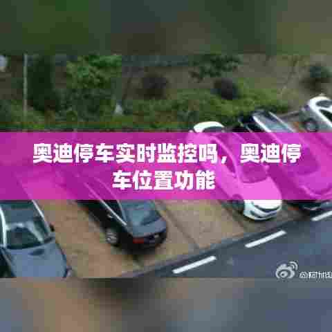 奥迪停车实时监控吗,奥迪停车位置功能