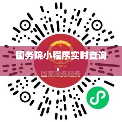 国务院小程序实时查询,