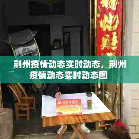 荆州疫情动态实时动态，荆州疫情动态实时动态图 