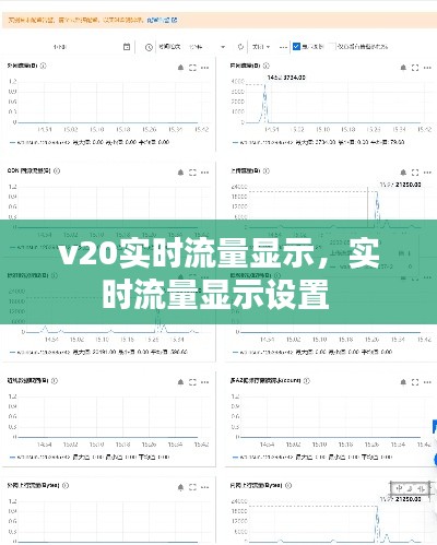 v20实时流量显示,实时流量显示设置