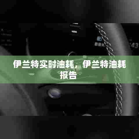 伊兰特实时油耗,伊兰特油耗报告