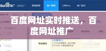 百度网址实时推送,百度网址推广