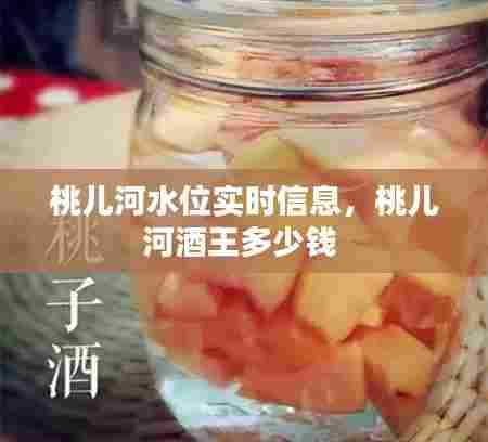 桃儿河水位实时信息,桃儿河酒王多少钱