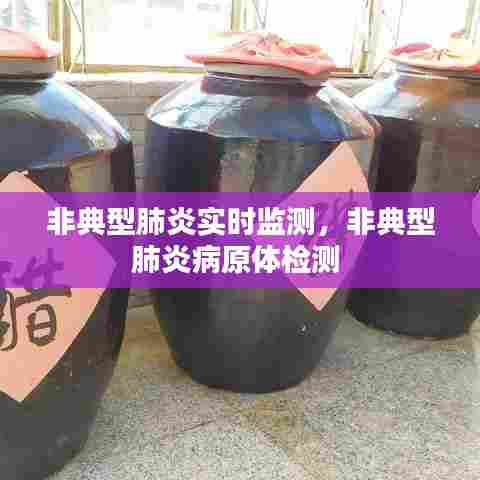 非典型肺炎实时监测,非典型肺炎病原体检测