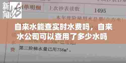 自来水能查实时水费吗,自来水公司可以查用了多少水吗