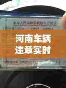 河南车辆违章实时查询,河南车辆违章查询在线查询