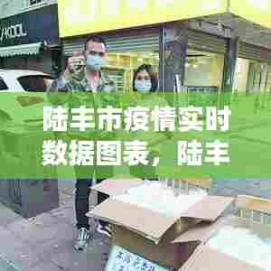 陆丰市疫情实时数据图表,陆丰市最新疫情