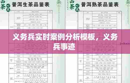 义务兵实时案例分析模板,义务兵事迹