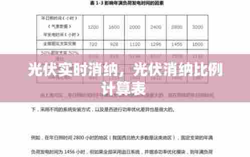 光伏实时消纳,光伏消纳比例计算表