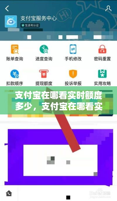 支付宝在哪看实时额度多少,支付宝在哪看实时额度多少了