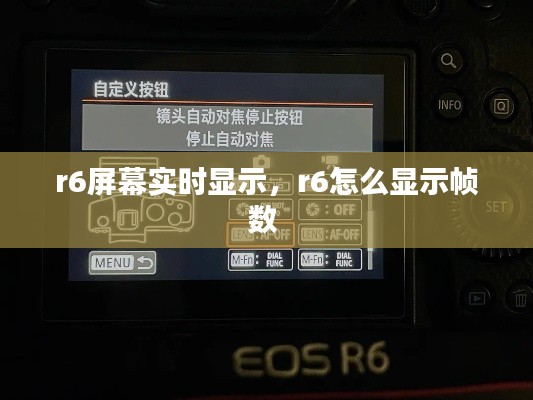 r6屏幕实时显示,r6怎么显示帧数