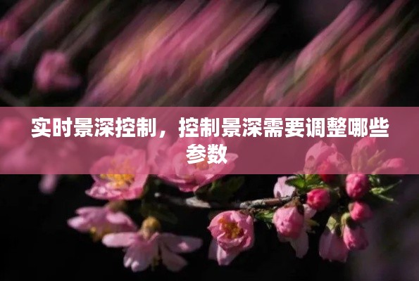 实时景深控制,控制景深需要调整哪些参数