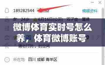 微博体育实时号怎么养,体育微博账号