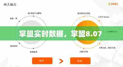 掌盟实时数据,掌盟8.07
