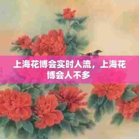 上海花博会实时人流,上海花博会人不多