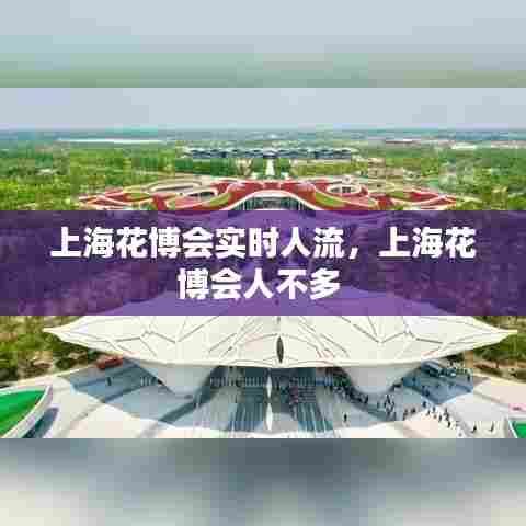 上海花博会实时人流,上海花博会人不多