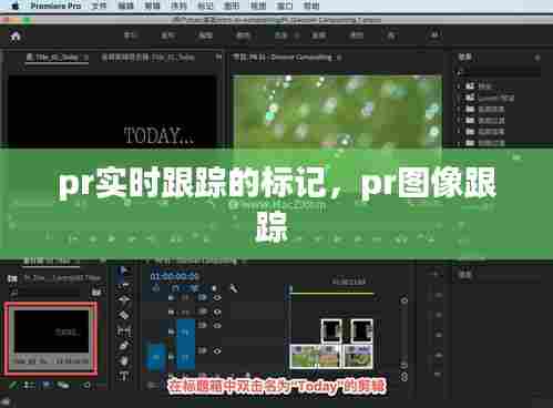 pr实时跟踪的标记,pr图像跟踪