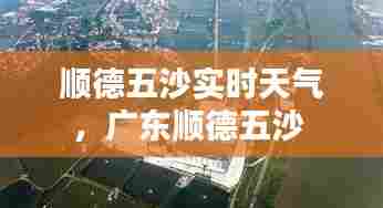 顺德五沙实时天气,广东顺德五沙