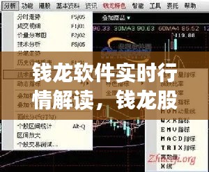 钱龙软件实时行情解读,钱龙股票软件官网