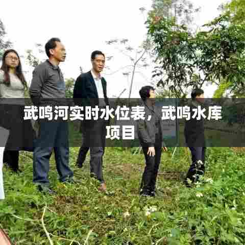 武鸣河实时水位表,武鸣水库项目