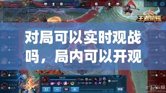 对局可以实时观战吗,局内可以开观战吗