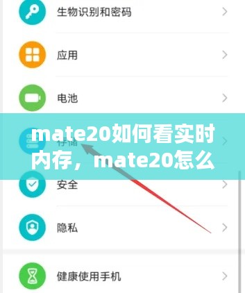 mate20如何看实时内存,mate20怎么看内存