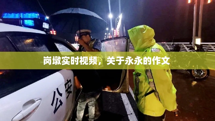 岗墩实时视频,关于永永的作文