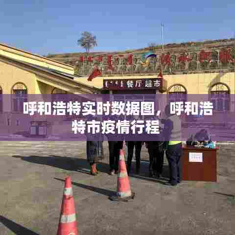 呼和浩特实时数据图,呼和浩特市疫情行程