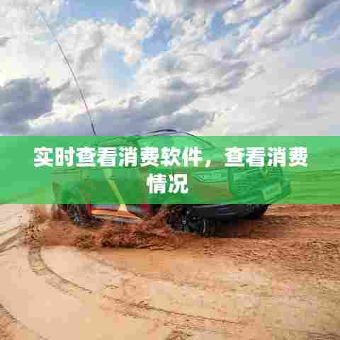 实时查看消费软件,查看消费情况