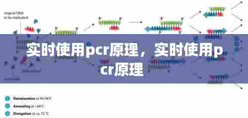 实时使用pcr原理,实时使用pcr原理