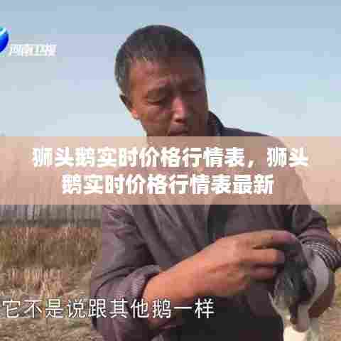 狮头鹅实时价格行情表，狮头鹅实时价格行情表最新 