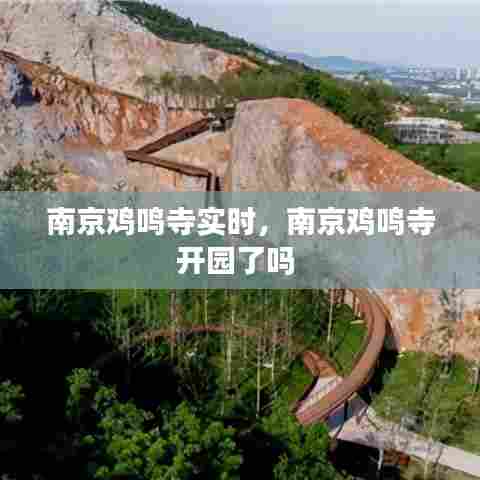 南京鸡鸣寺实时,南京鸡鸣寺开园了吗