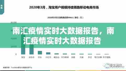 南汇疫情实时大数据报告,南汇疫情实时大数据报告