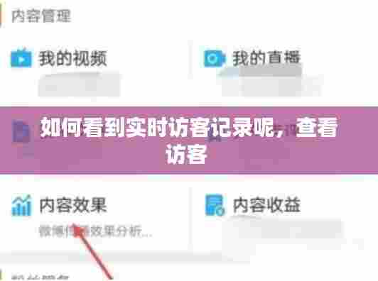如何看到实时访客记录呢，查看访客 