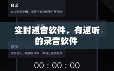 实时返音软件,有返听的录音软件