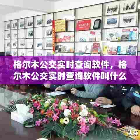 格尔木公交实时查询软件,格尔木公交实时查询软件叫什么