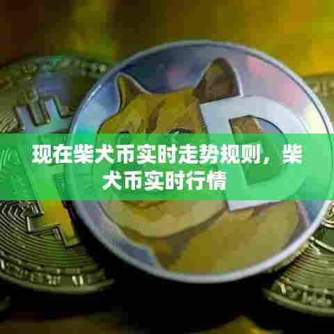 现在柴犬币实时走势规则,柴犬币实时行情