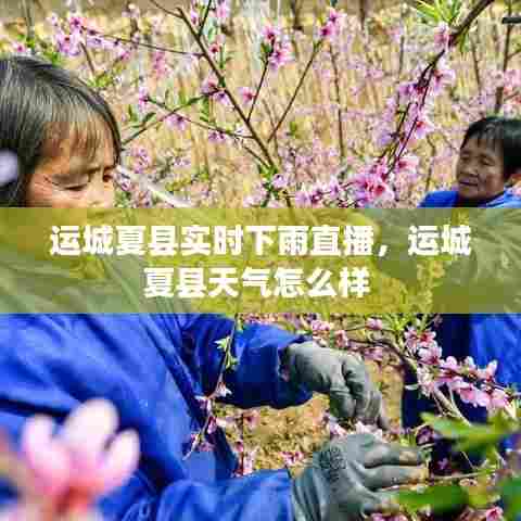 运城夏县实时下雨直播,运城夏县天气怎么样