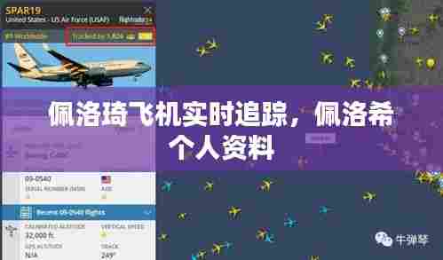 佩洛琦飞机实时追踪,佩洛希 个人资料