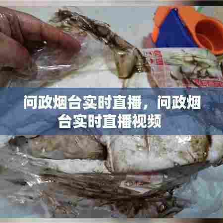 问政烟台实时直播,问政烟台实时直播视频