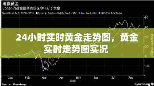 24小时实时黄金走势图,黄金实时走势图实况