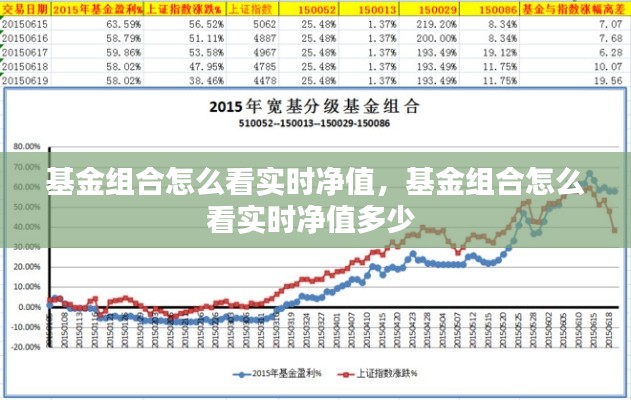 基金组合怎么看实时净值,基金组合怎么看实时净值多少
