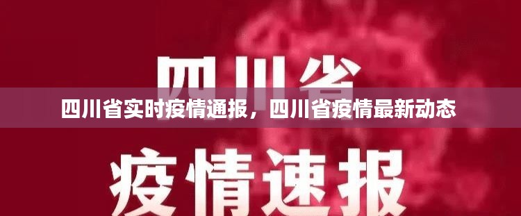四川省实时疫情通报,四川省疫情最新动态