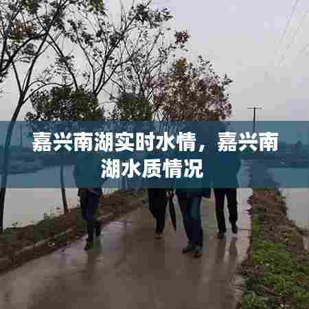 嘉兴南湖实时水情,嘉兴南湖水质情况