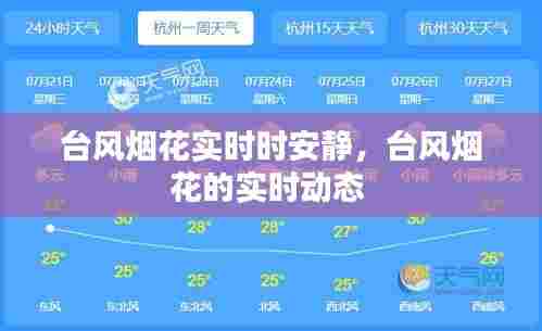 台风烟花实时时安静,台风烟花的实时动态