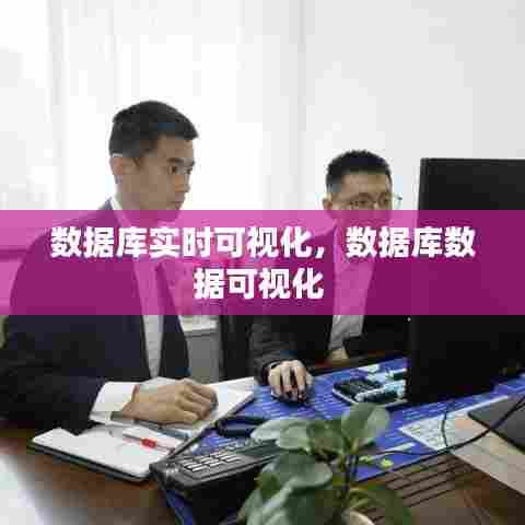 数据库实时可视化,数据库数据可视化