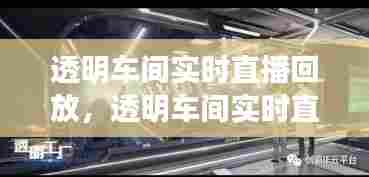 透明车间实时直播回放,透明车间实时直播回放视频