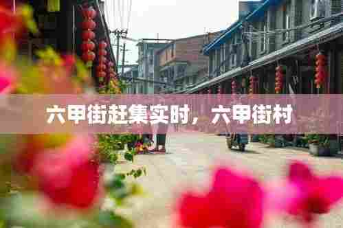 六甲街赶集实时,六甲街村